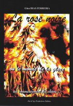 La rose noire ou le monde de la glace au commencement du chaos