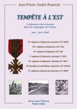 Tempête à l'Est, l'infanterie berrichonne dans la Campagne de France mai-juin 1940