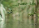 Voyage en Caloptérie