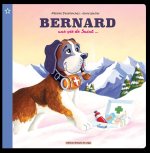 BERNARD, UNE VIE DE SAINT