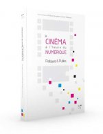 Le cinéma à l'heure du numérique - pratiques & publics