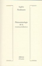 Phénoménologie de la transcendance