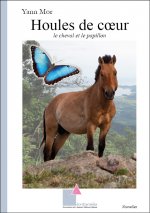 Houles de cœur – Le cheval et le papillon
