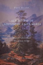 Sur les pas de Nietzsche à Sils-Maria