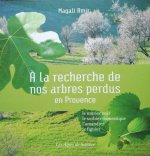 A la recherche de nos arbres perdus en Provence
