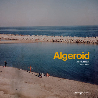 Algeroid