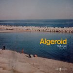 Algeroid