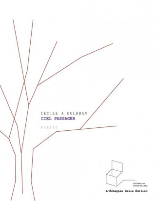 Ciel passager