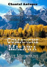 Comanche Malawa Blue Moutains