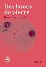 DES LAMES DE PIERRE