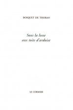 SOUS LA LUNE AUX TOITS D'ARDOISE