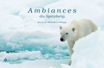 AMBIANCES DU SPITZBERG