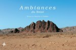 AMBIANCES DU SINAI