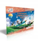 Comment connaître Dieu, cahier de coloriage : Un voyage pour découvrir l'objectif de Dieu