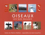 Oiseaux des îles Chausey