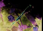 ZOOM SUR DAUM - Un autre regard sur une dysnastie de Maîtres Verriers