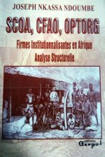 FIRMES INSTITUTIONNALISANTES EN AFRIQUE, ANALYSE STRUCTURELLE