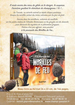 A la poursuite des Morilles de Feu (Benoît)(Brožovaná)