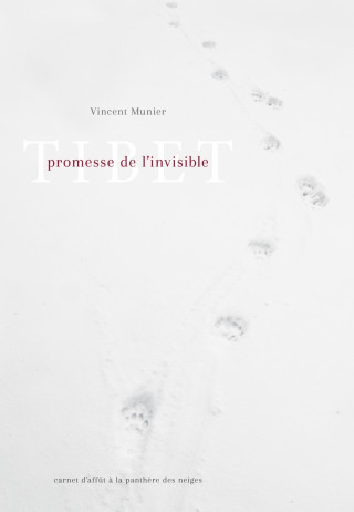 Tibet, promesse de l'invisible