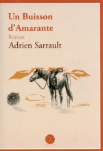 Un buisson d'amarante - roman