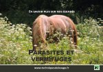 Parasites et Vermifuges. En savoir plus sur nos équidés