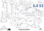 Les grandes voies métaboliques. L'exemple du cheval et de sa flore digestive