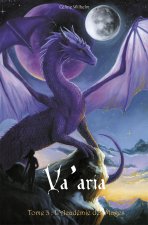 Va'aria tome 3 : L'Académie des mages