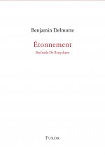 Benjamin Delmotte, Etonnement, Berlinde De Bruyckere