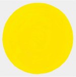 12 Sun Songs (LP vinyle)