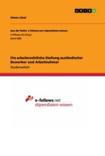 Die arbeitsrechtliche Stellung ausländischer Bewerber und Arbeitnehmer