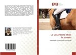 La Cesarienne chez la jument