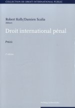 DROIT INTERNATIONAL PÉNAL - 2ÈME ÉDITION