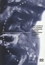 trafic illicite de biens culturels et coopération judiciaire internationale en m