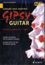 GIPSY GUITAR DVD (DVD)