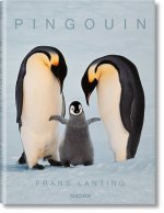 Frans Lanting. Pingouin