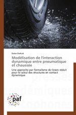 Modélisation de l'interaction dynamique entre pneumatique et chaussée