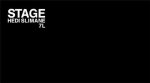 Hedi Slimane Stage /anglais