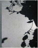 Collier Schorr Blumen /anglais