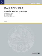 PICCOLA MUSICA NOTTURNA