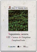 TOPONIMIA NAVARRA - VIII. CUENCA DE PAMPLONA/IRUYA