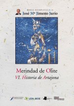 MERINDAD DE OLITE VI - HISTORIA DE ARTAJONA