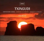TXINGUDI