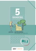 GRAMATIKA LAN-KOADERNOA 5 (B1.1) ADITZA + BESTELAKOAK