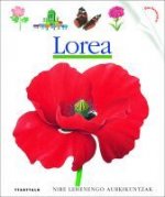 LOREA