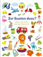 ZER IKUSTEN DUZU ?
