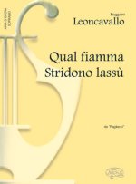 RUGGERO LEONCAVALLO: QUAL FIAMMA STRIDONO LASSU, DA PAGLIACCI (SOPRANO)