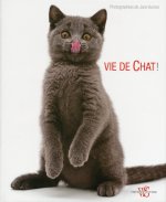 Vide de chat !