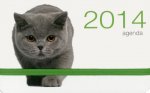 Agenda chats 2014