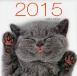 Calendrier mural Chats 2015