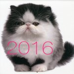 Calendrier mural Chats 2016